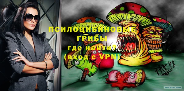 МДПВ Алзамай