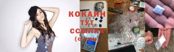 мяу мяу мука Алексеевка