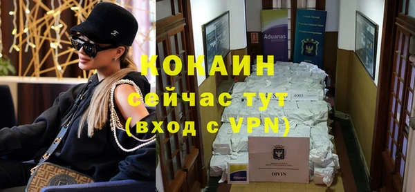 дмт Няндома