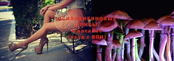 мяу мяу мука Алексеевка