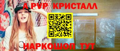 крисы Кингисепп