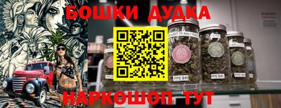крисы Кингисепп