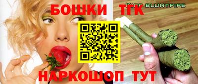 крисы Кингисепп