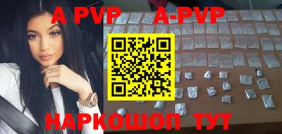 крисы Кингисепп