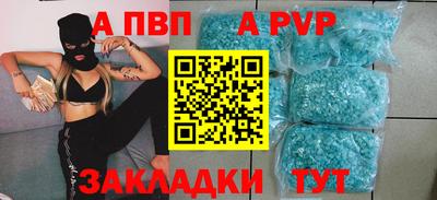 крисы Кингисепп