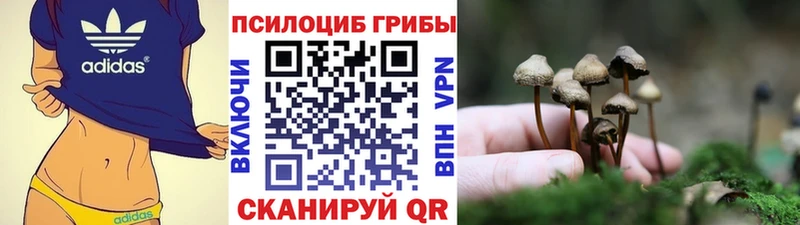 Псилоцибиновые грибы MAGIC MUSHROOMS OMG как войти Волжский
