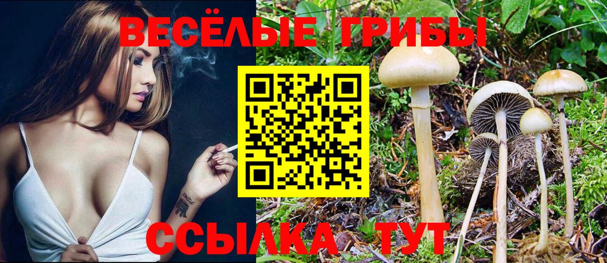 Галлюциногенные грибы GOLDEN TEACHER Волжский