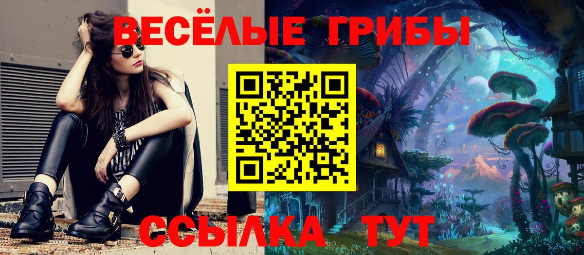Галлюциногенные грибы Psilocybine cubensis  где купить наркоту  Волжский  Галлюциногенные грибы ЛСД  Вход с VPN 